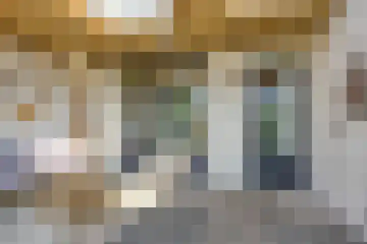 Linnaeuslaan 97 Veenendaal thumbnail 33