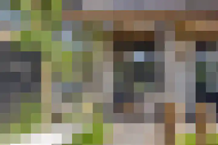 Linnaeuslaan 97 Veenendaal thumbnail 34