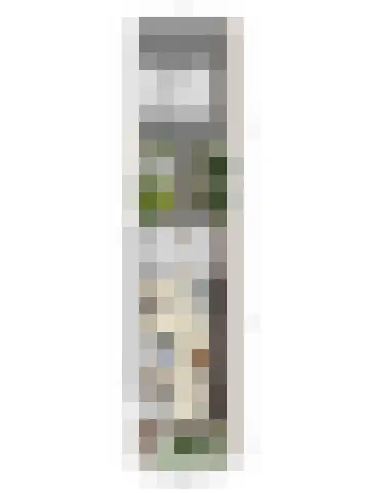 Linnaeuslaan 97 Veenendaal thumbnail 39