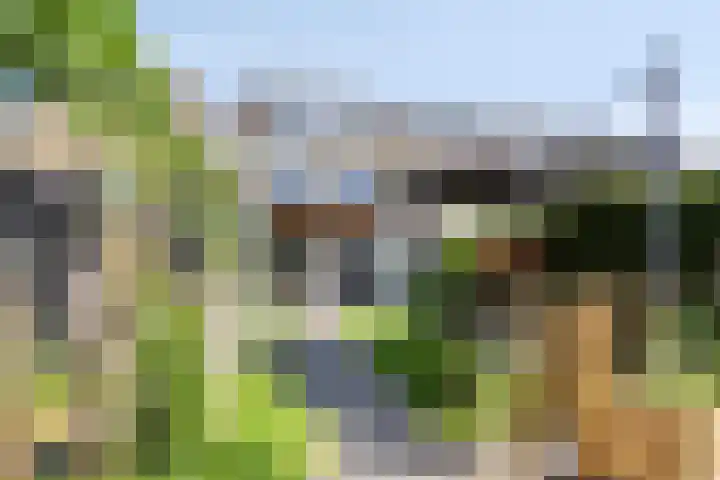 Linnaeuslaan 97 Veenendaal thumbnail 41