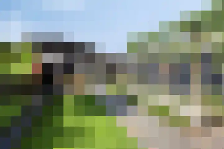 Linnaeuslaan 97 Veenendaal thumbnail 5
