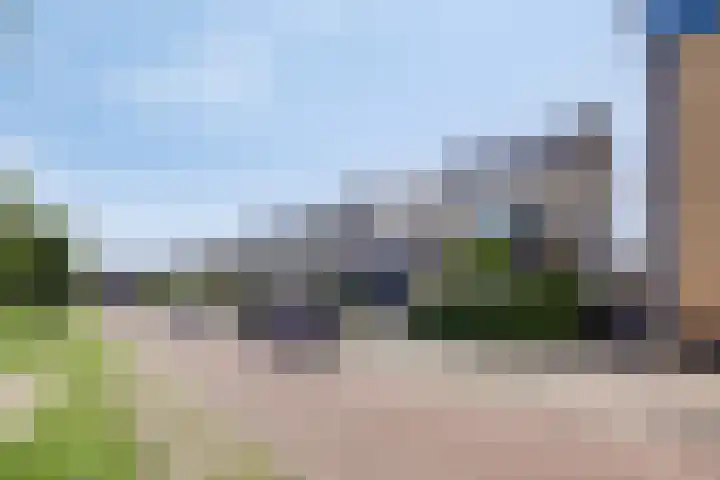 Linnaeuslaan 97 Veenendaal thumbnail 6