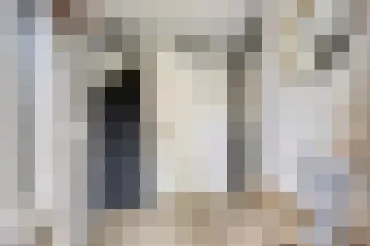 Linnaeuslaan 97 Veenendaal thumbnail 8