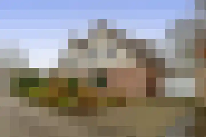 Linnaeuspark 1 A in Lisse