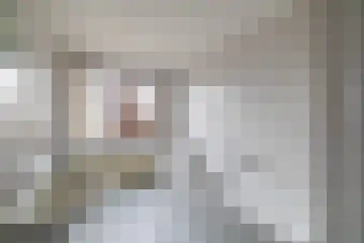 Linnaeuspark 1 A Lisse thumbnail 13