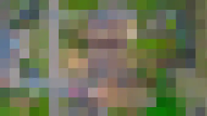 Linnaeuspark 1 A Lisse thumbnail 17