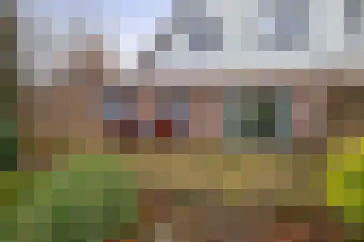 Linnaeuspark 1 A Lisse thumbnail 21