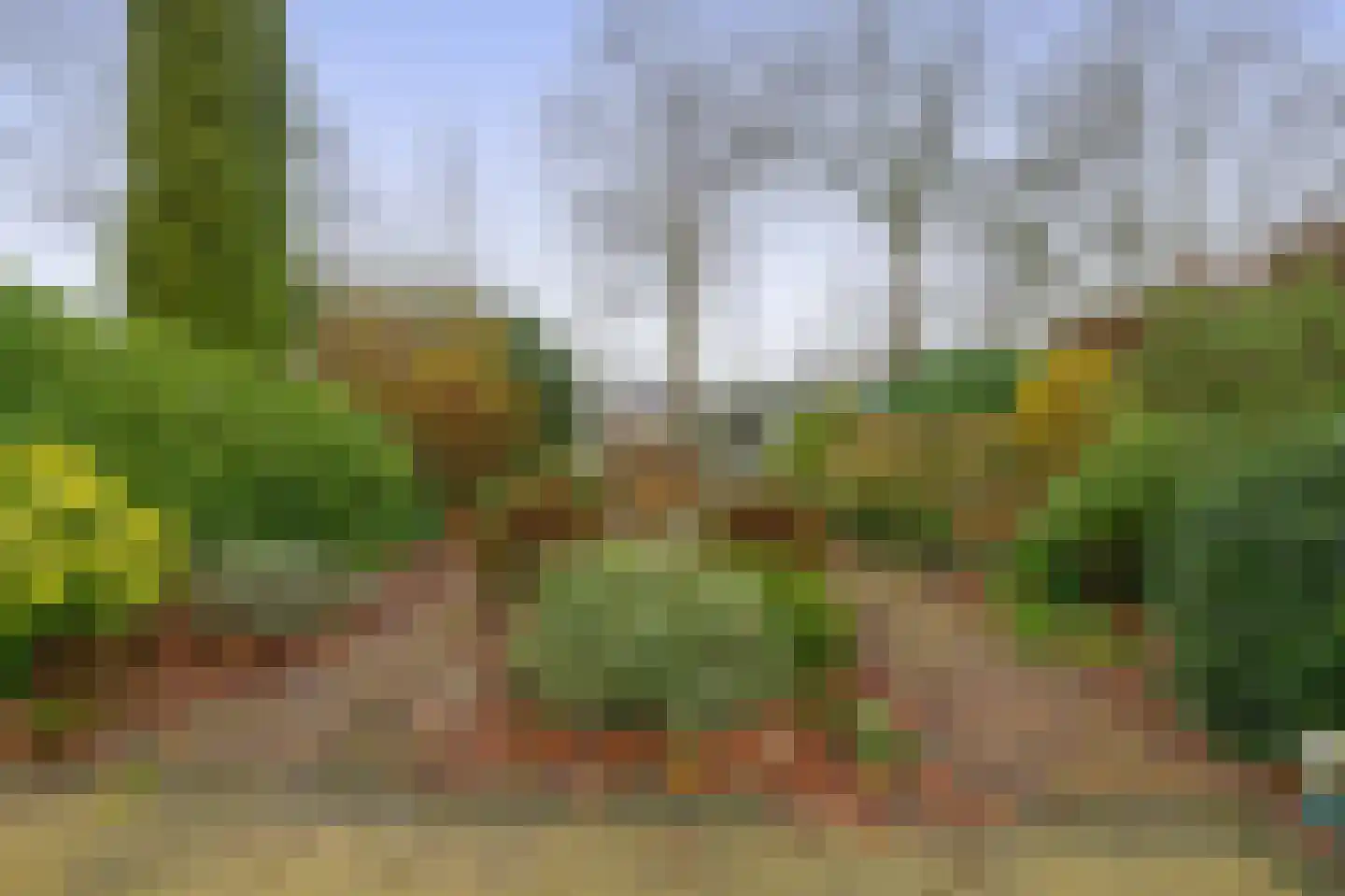 Linnaeuspark 1 A Lisse thumbnail 22