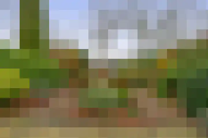 Linnaeuspark 1 A Lisse thumbnail 22