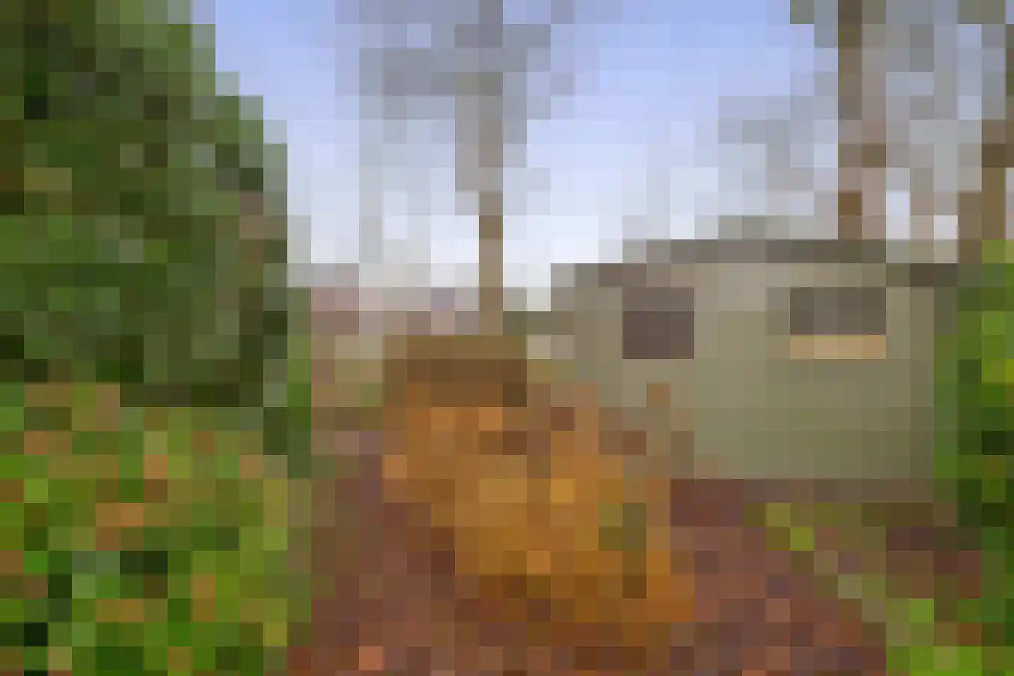 Linnaeuspark 1 A Lisse thumbnail 24