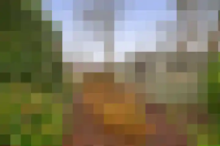 Linnaeuspark 1 A Lisse thumbnail 24