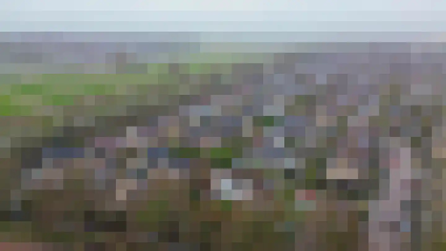 Linnaeuspark 1 A Lisse thumbnail 26