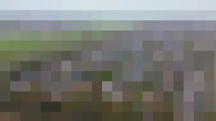 Linnaeuspark 1 A Lisse thumbnail 26
