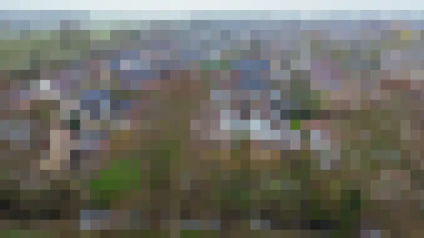 Linnaeuspark 1 A Lisse thumbnail 27