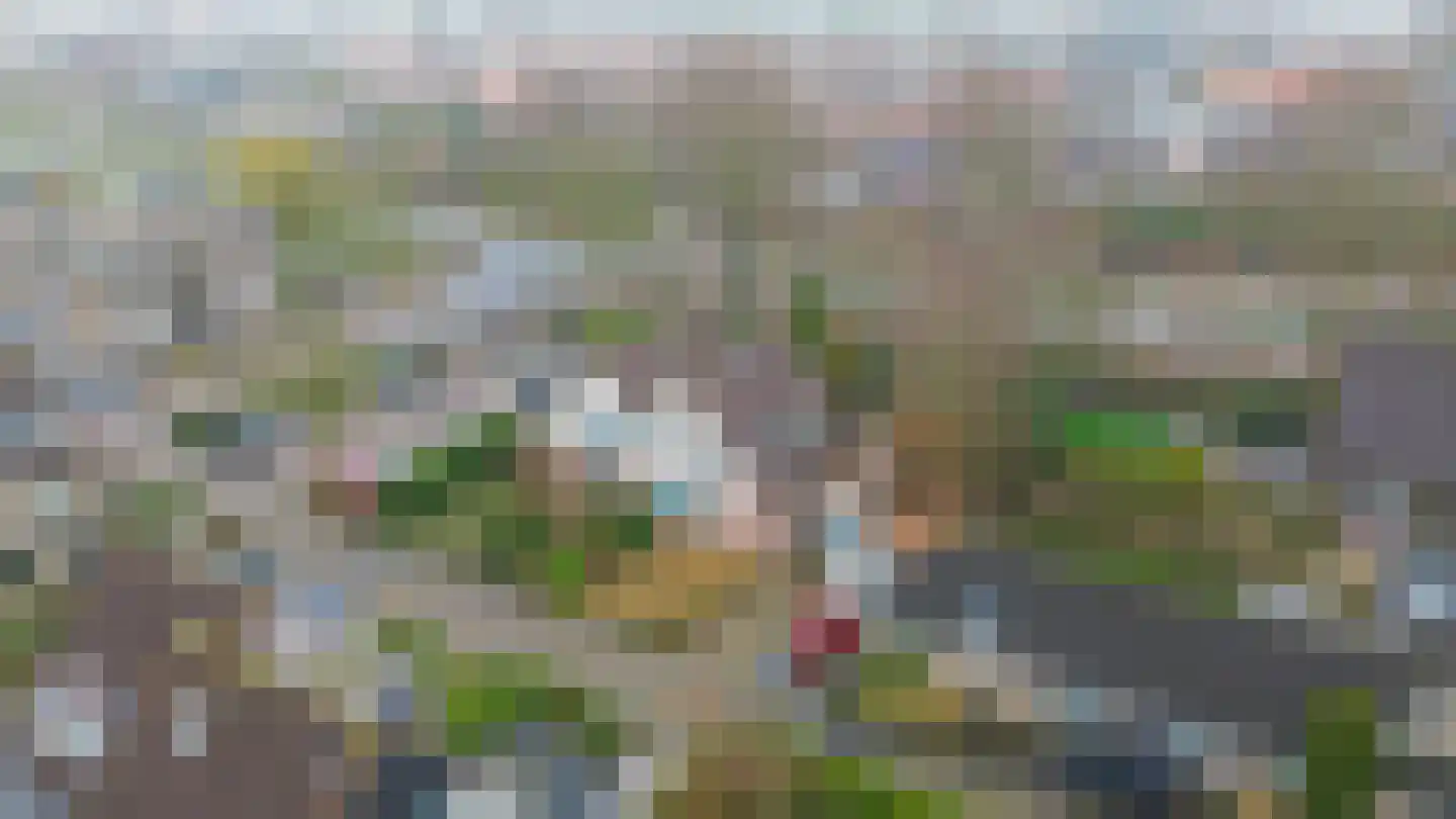 Linnaeuspark 1 A Lisse thumbnail 29