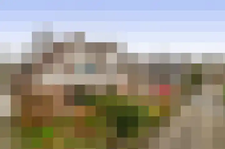 Linnaeuspark 1 A Lisse thumbnail 30