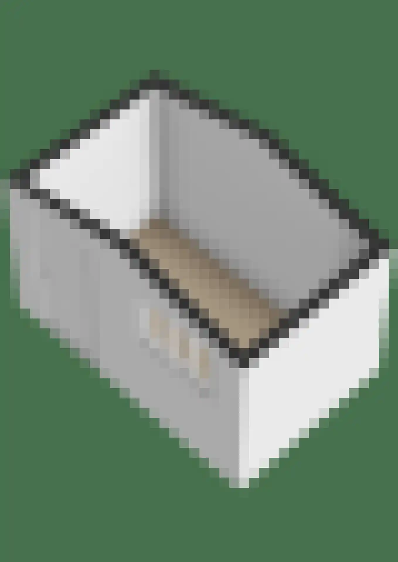 Linnaeuspark 1 A Lisse thumbnail 42