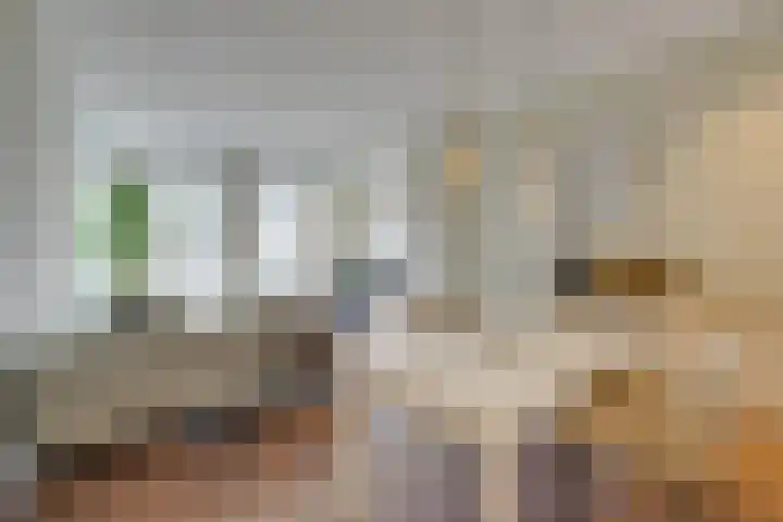 Linnaeusparkweg 105 1 Amsterdam thumbnail 7