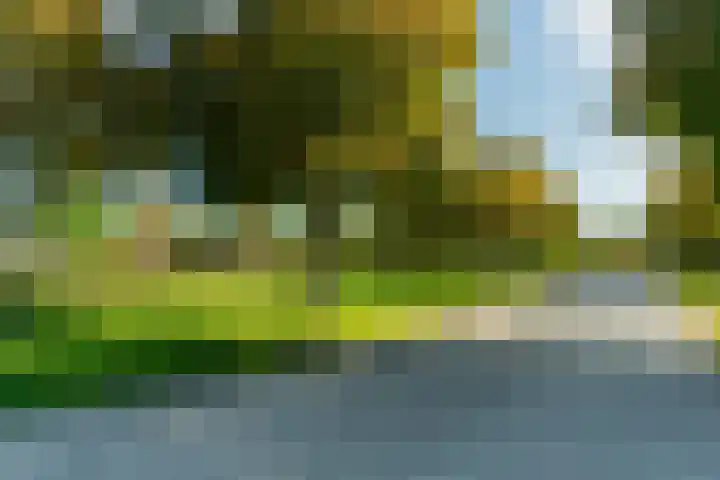Linnaeusparkweg 111 H Amsterdam thumbnail 31