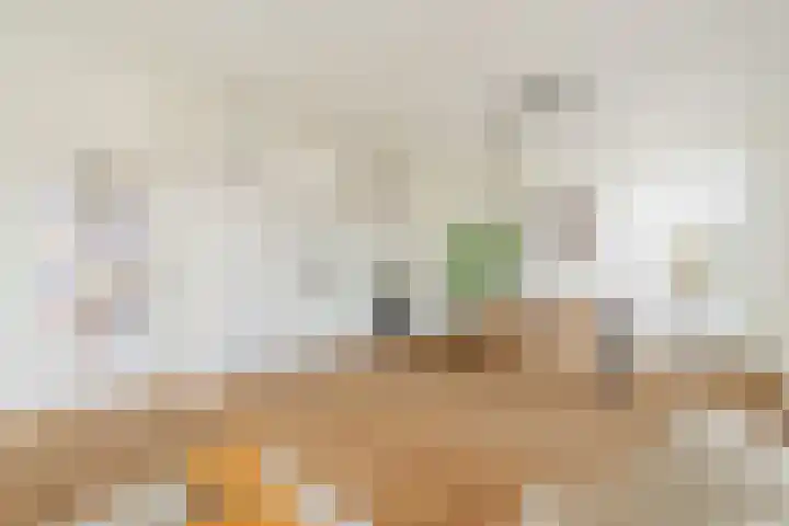 Linnaeusparkweg 111 H Amsterdam thumbnail 7