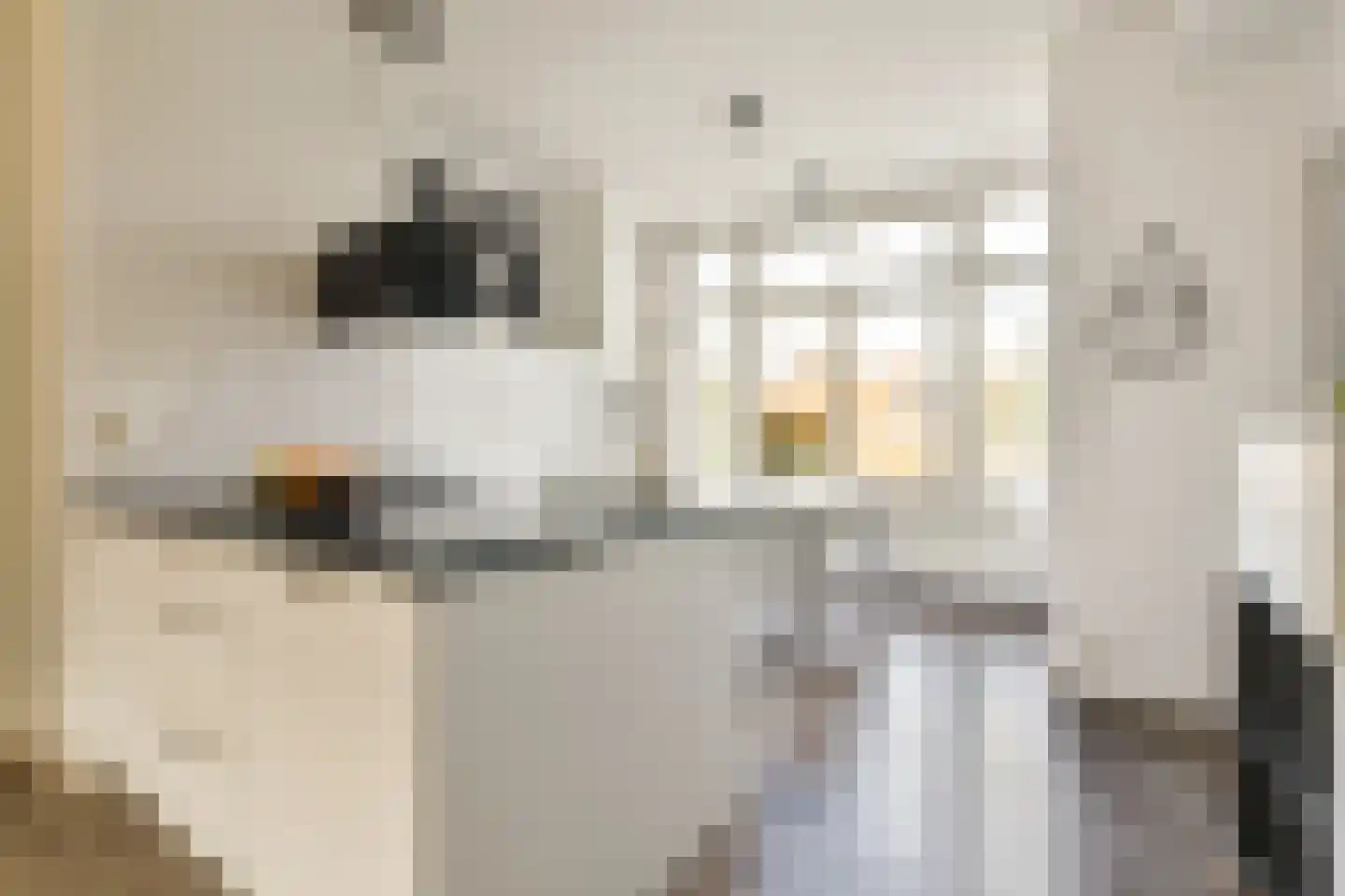 Linnaeusparkweg 113 3 Amsterdam thumbnail 10
