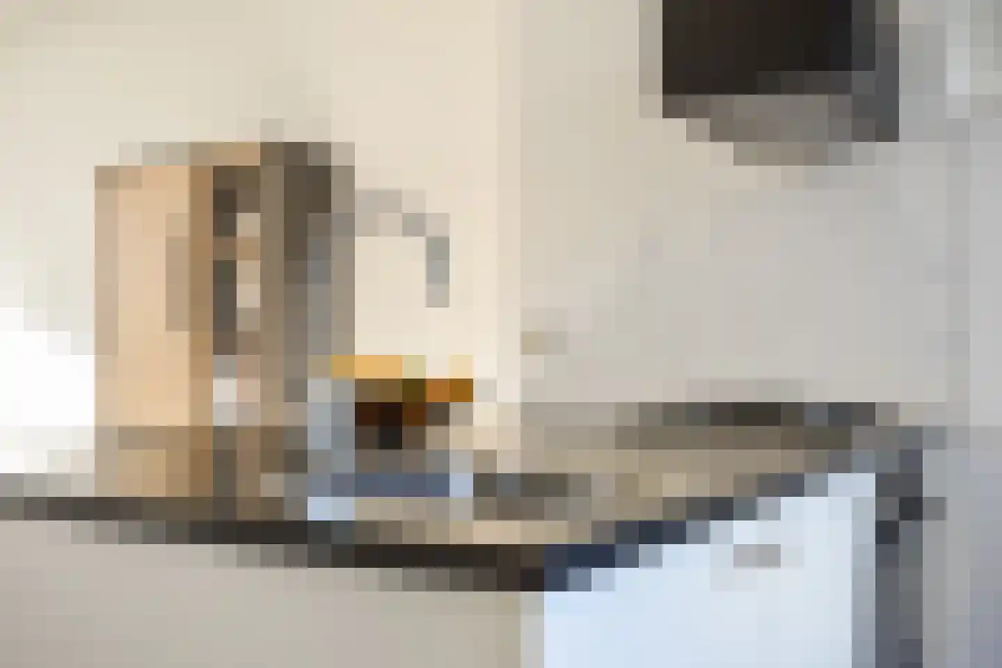 Linnaeusparkweg 113 3 Amsterdam thumbnail 11
