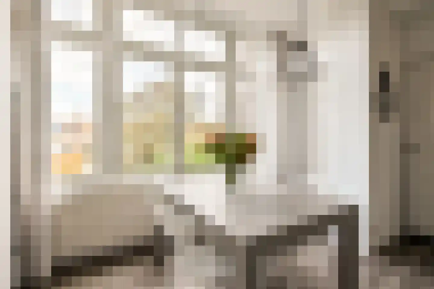 Linnaeusparkweg 113 3 Amsterdam thumbnail 13