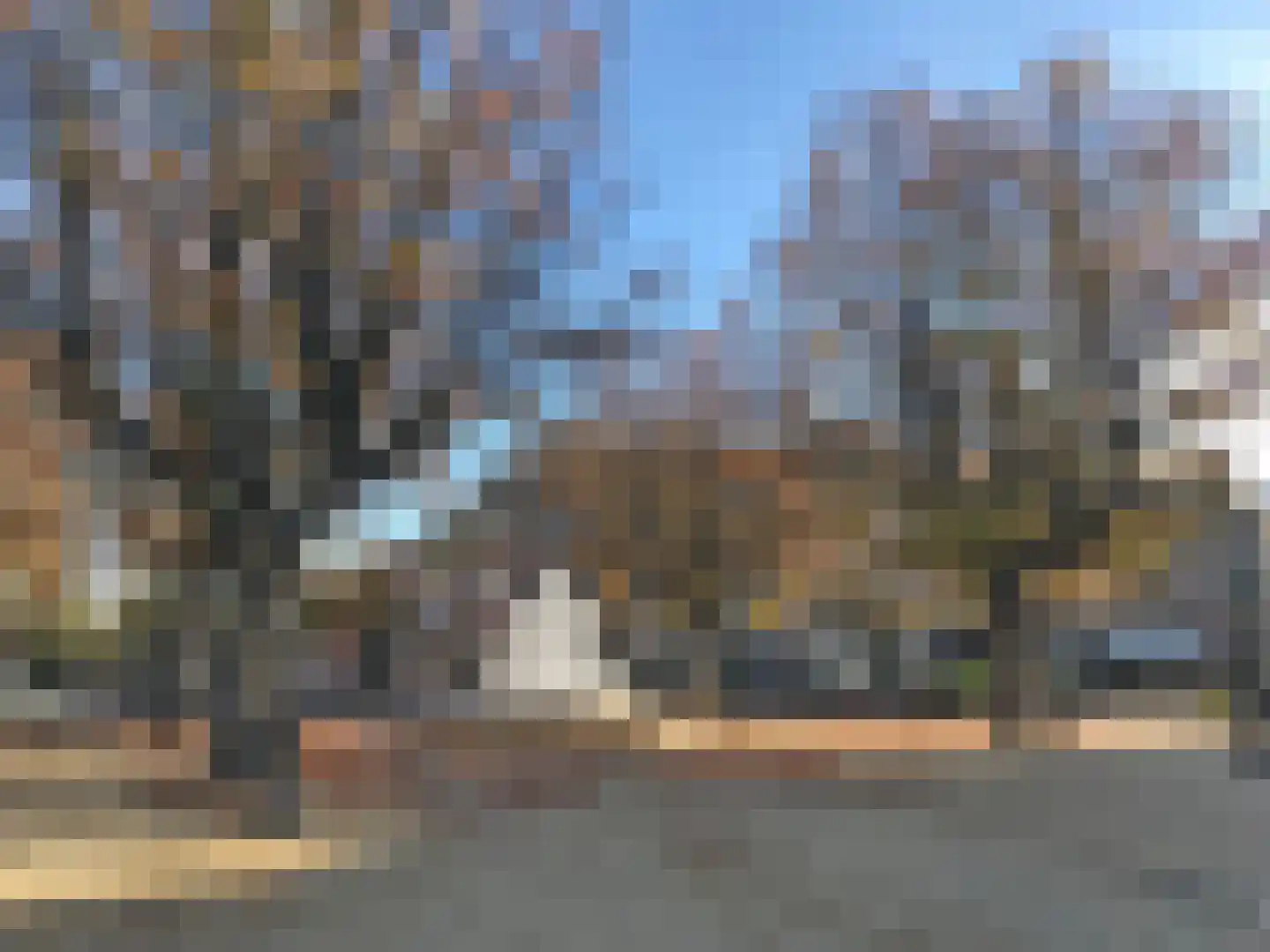 Linnaeusparkweg 113 3 Amsterdam thumbnail 25