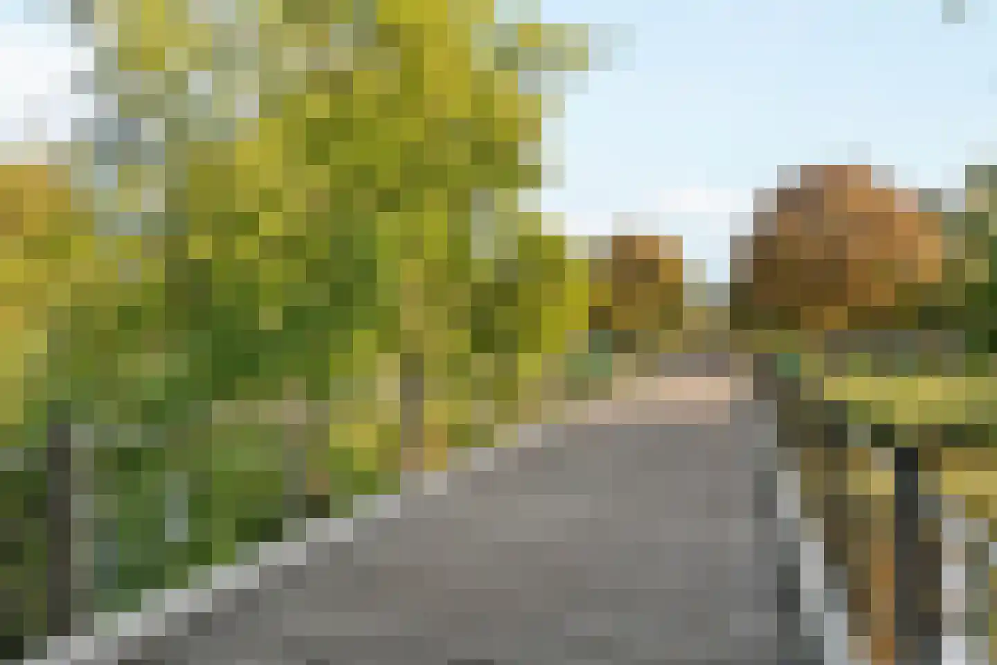 Linnaeusparkweg 117 1 Amsterdam thumbnail 28