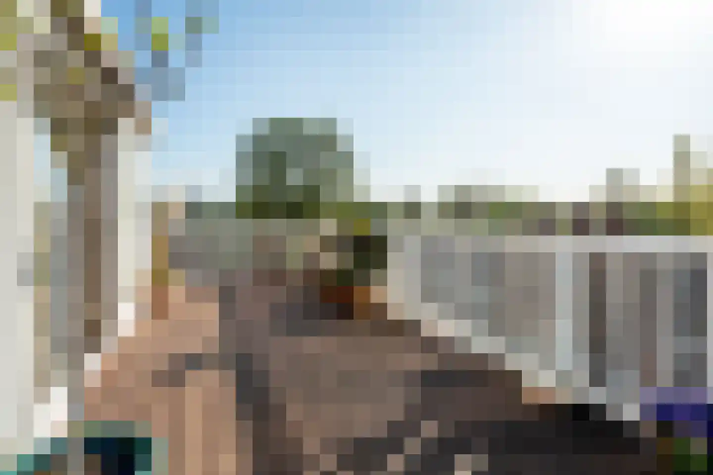 Linnaeusparkweg 119 1 Amsterdam foto 2