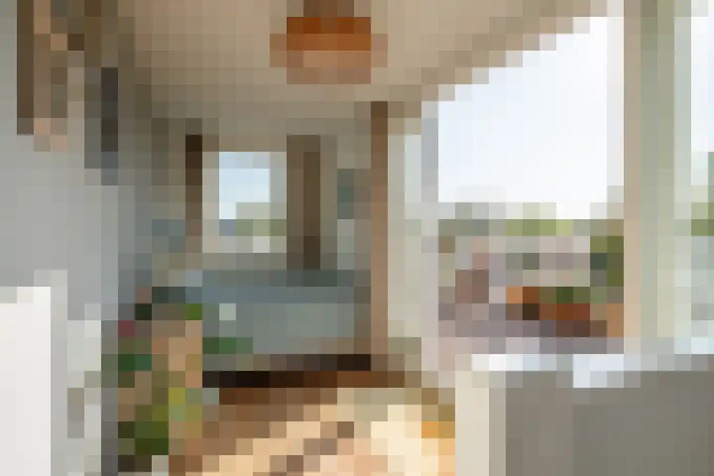 Linnaeusparkweg 119 3 Amsterdam thumbnail 18