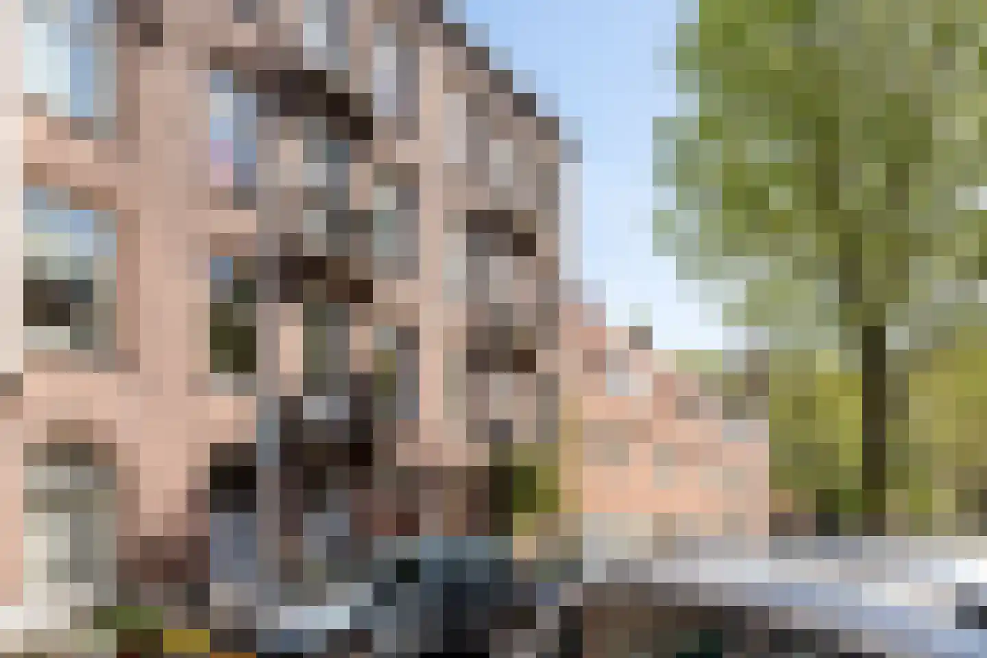 Linnaeusparkweg 119 3 Amsterdam thumbnail 32
