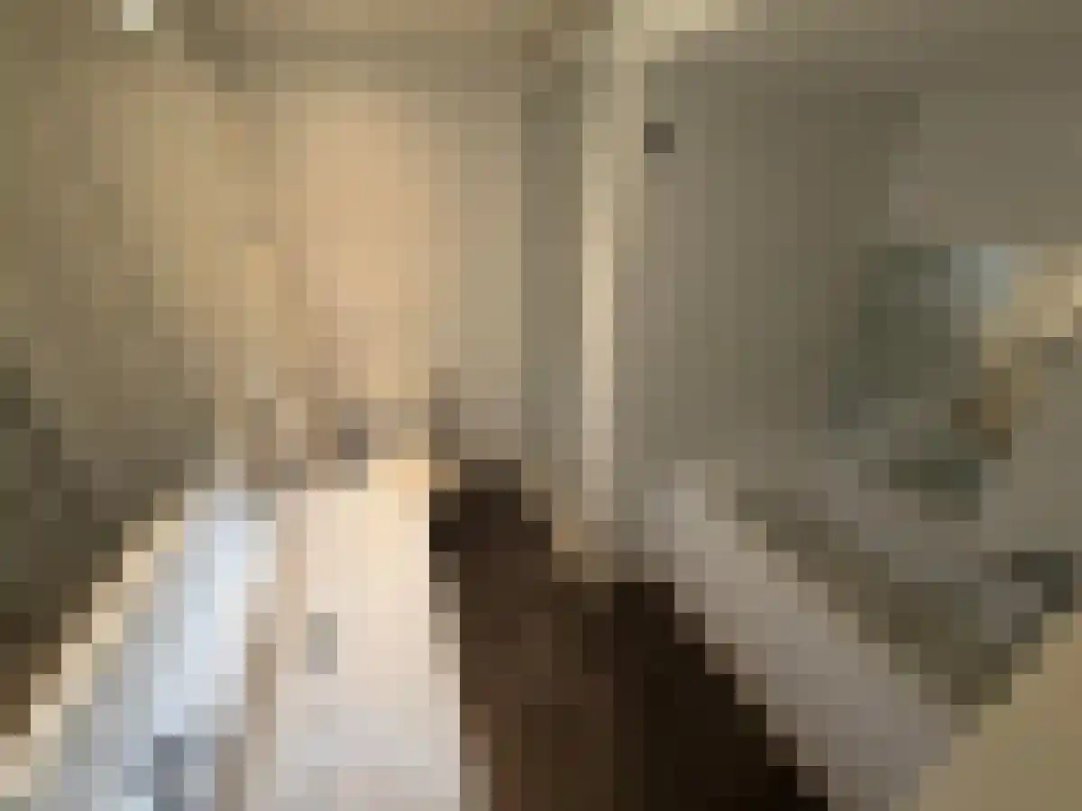 Linnaeusparkweg 120 Amsterdam thumbnail 5