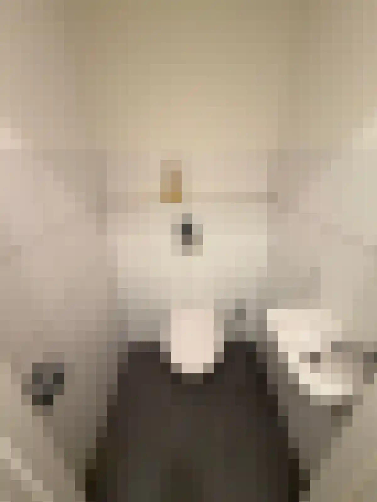 Linnaeusparkweg 120 Amsterdam thumbnail 6