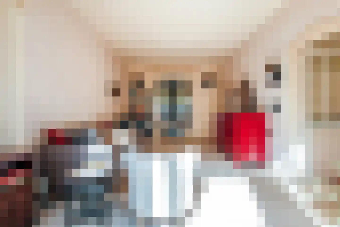 Linnaeusparkweg 134 2 Amsterdam thumbnail 16