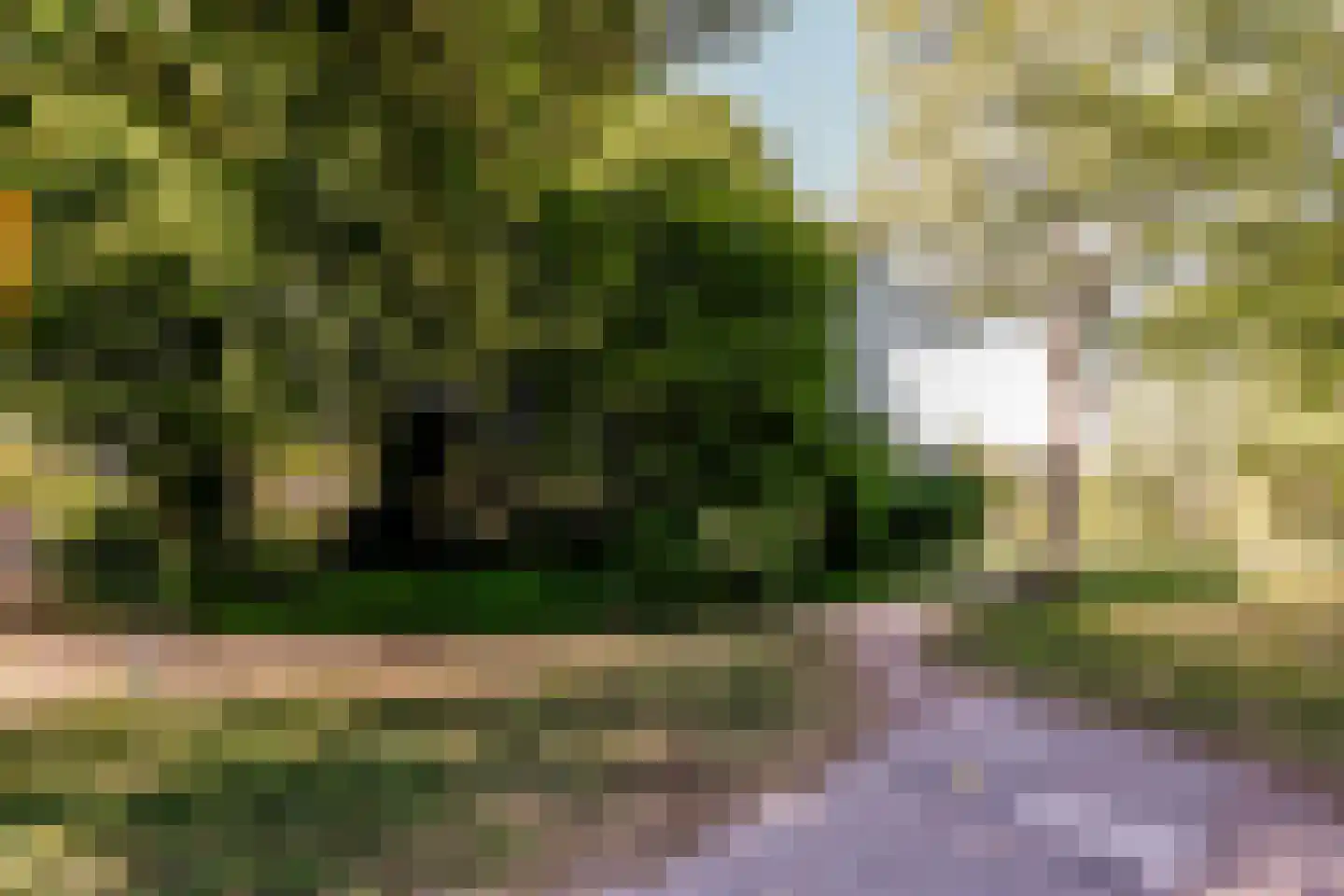 Linnaeusparkweg 134 2 Amsterdam thumbnail 27