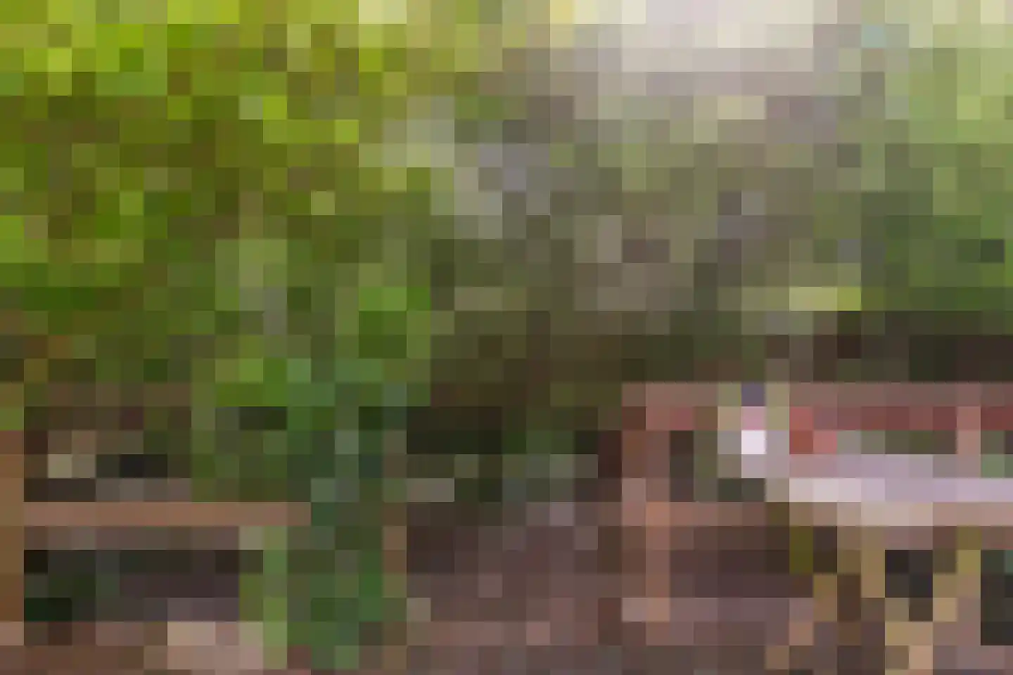 Linnaeusparkweg 134 3 Amsterdam thumbnail 14