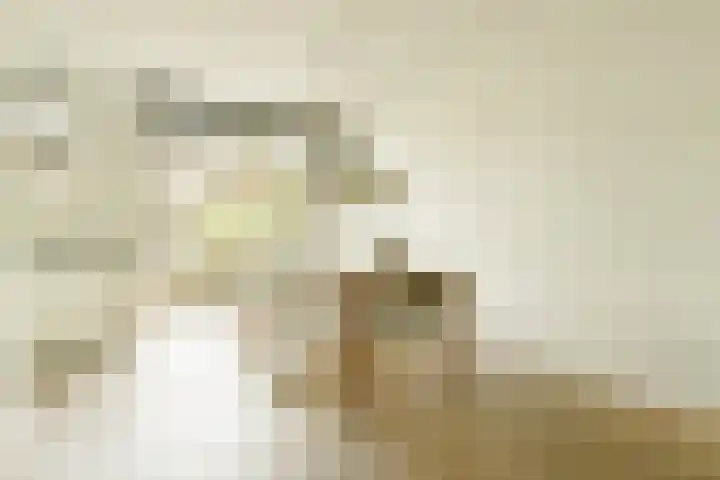 Linnaeusparkweg 135 1 Amsterdam thumbnail 9