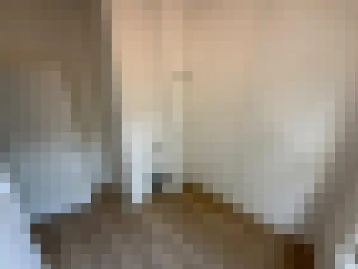 Linnaeusparkweg 136 Amsterdam thumbnail 4