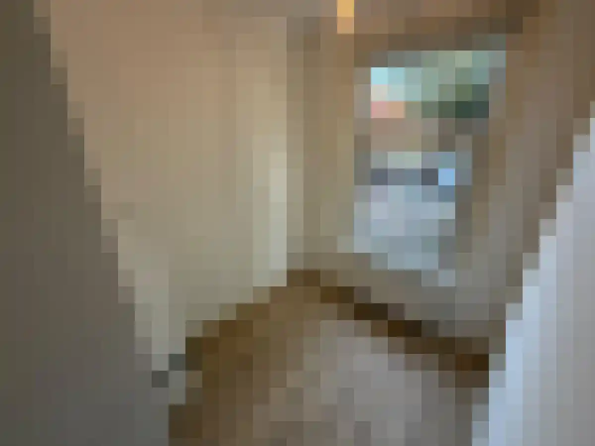 Linnaeusparkweg 136 Amsterdam thumbnail 5