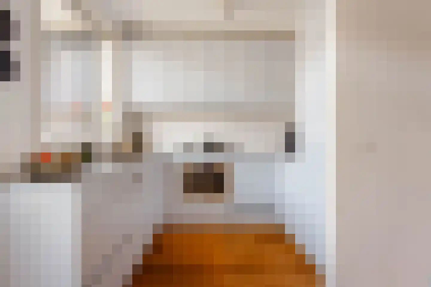 Linnaeusparkweg 137 Amsterdam thumbnail 10