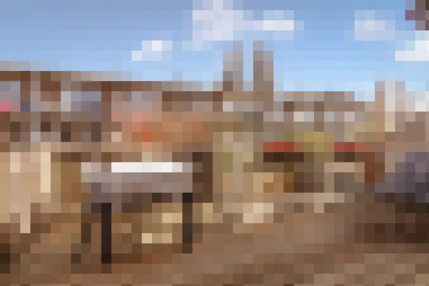 Linnaeusparkweg 137 Amsterdam thumbnail 14