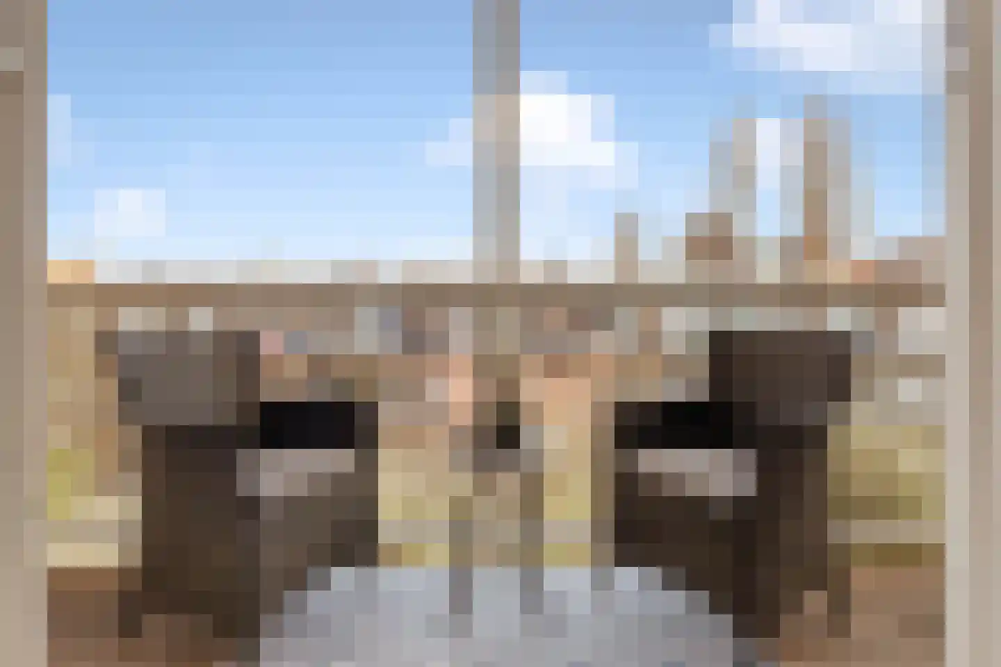 Linnaeusparkweg 137 Amsterdam thumbnail 23