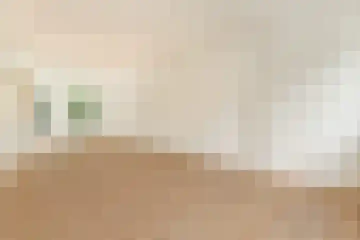 Linnaeusparkweg 142 2 Amsterdam thumbnail 12