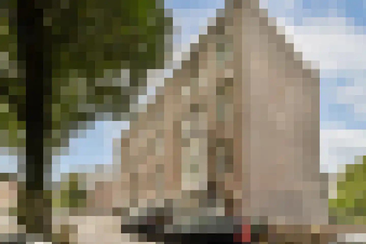 Linnaeusparkweg 142 2 Amsterdam thumbnail 15
