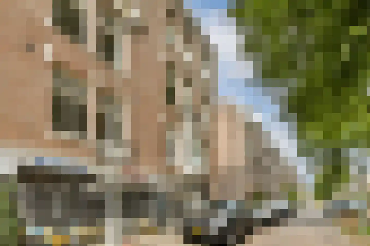 Linnaeusparkweg 142 2 Amsterdam thumbnail 16