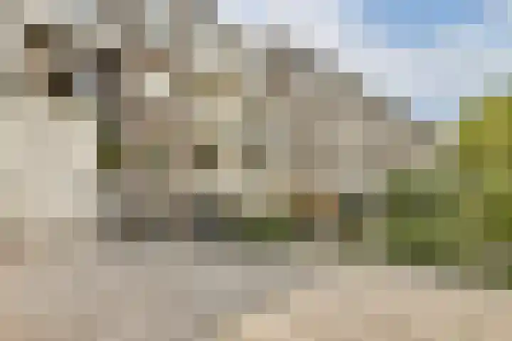Linnaeusparkweg 142 2 Amsterdam thumbnail 8