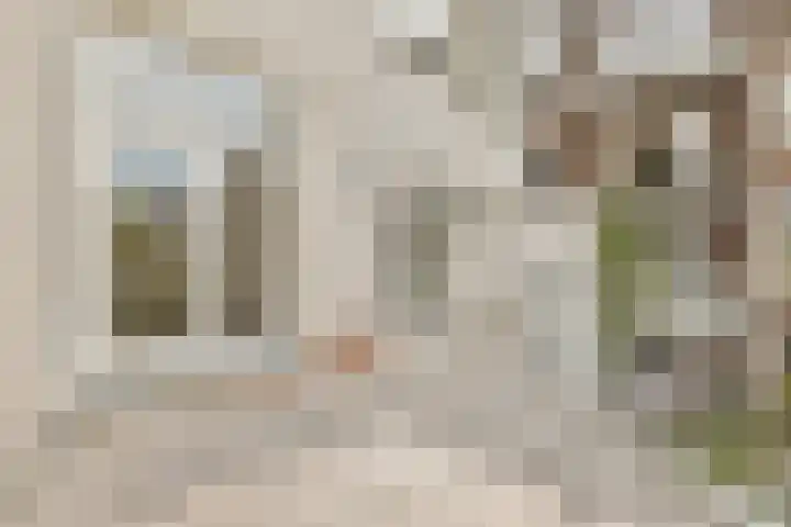 Linnaeusparkweg 142 2 Amsterdam thumbnail 9