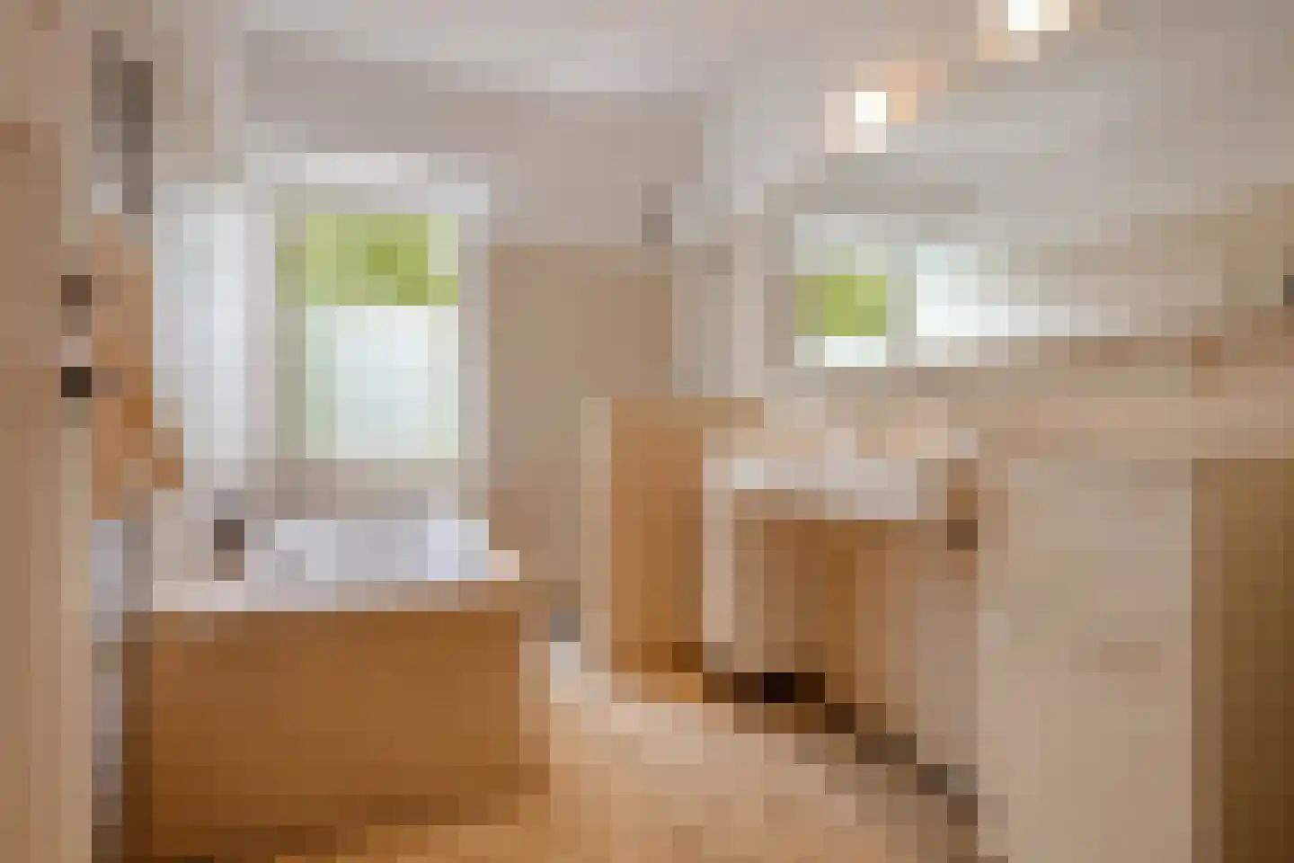 Linnaeusparkweg 143 1 Amsterdam thumbnail 27