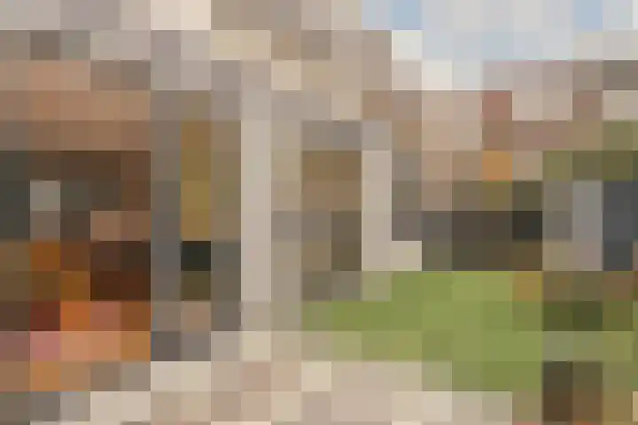 Linnaeusparkweg 146 H Amsterdam thumbnail 32